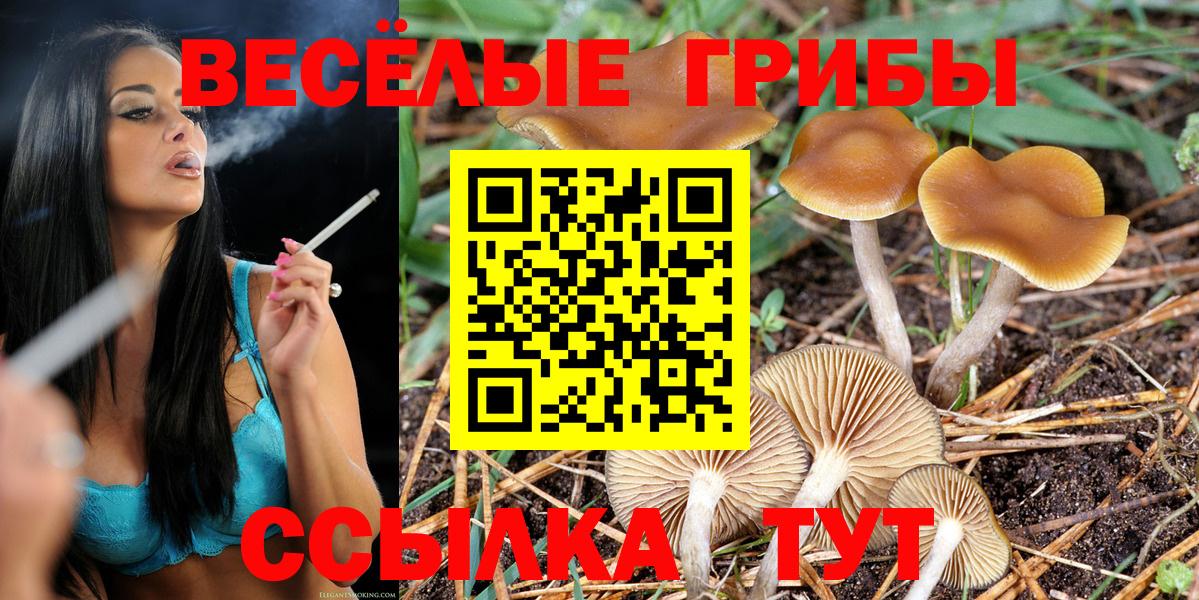 Мефедрон  NBOMe  Амфетамин кристаллы  Меф МЯУ МЯУ кристаллы  Экстази  Вейп ТГК  Клинцы  Вход с VPN  Марихуана  Кокаин  Гашиш 