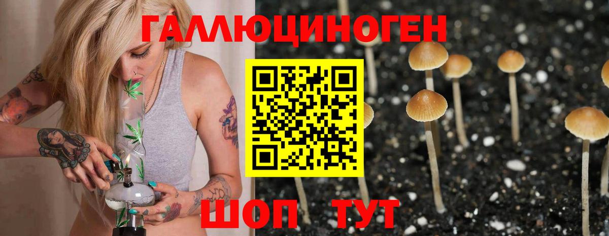 Псилоцибиновые грибы Psilocybe  Вход с VPN  Клинцы 